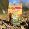tisane CBD, vente CBD, CBD, Fleur de chanvre, Chanvre BIO, Vente de chanvre, vente de CBD tisane, cbd fleur