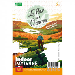 fleur de chanvre, vent de CBD, CBD france, CBD français, CBD 100% naturel, fleur de CBD, CBD biologique